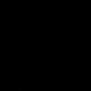 Meet your Posher, Zane